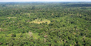 Thumbnail for List of Liberian national forests