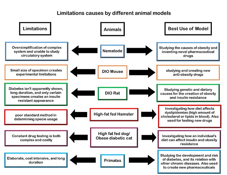 File:Limitation factors.jpg