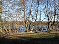 Vorschaubild für Naturschutzgebiet Linowsee-Dutzendsee