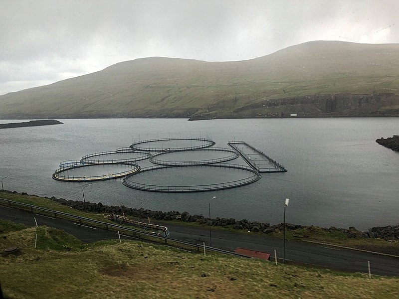 File:Lisa Murkowski visits Faroe Islands - 2019 04.jpg