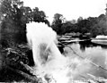 Log entering river from log chute, Washington, 1890 (KINSEY 2816).jpeg