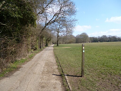 London Loop near Coulsdon Common - geograph.org.uk - 3395342