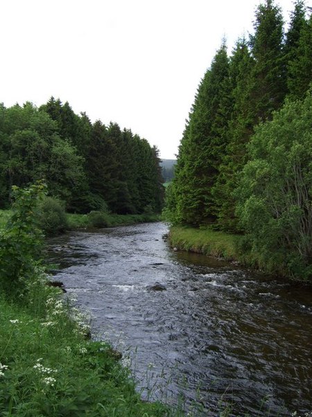 File:Looking upstream River Don - geograph.org.uk - 465634.jpg