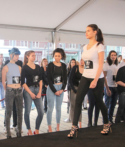 File:Lopen catwalk elite model wedstrijd Spijkenisse.jpg