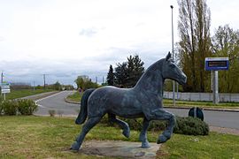 "Cerise", cheval percheron, galopant vers l'entrée n°4 de l'A11.