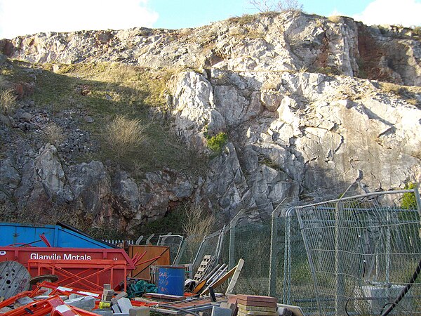 The rocks of Lummaton Quarry in Torquay in Devon played an early role in defining the Devonian Period