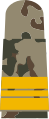 gold-yellow emblem on 3-color-flecktarn – Marine (Kapitänleutnant zur See)