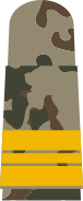 gold-yellow emblem on 3-color-flecktarn – Marine (Kapitänleutnant zur See)