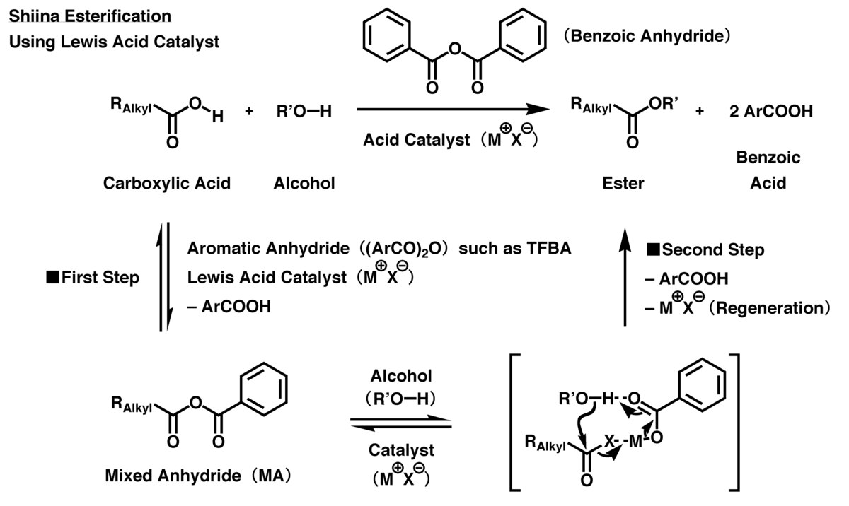 Shiina esterification - Wikipedia