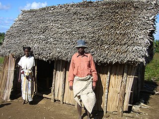 <span class="mw-page-title-main">Ambila</span> Place in Fitovinany, Madagascar