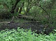 Naturschutzgebiet Mainauen bei Sulzbach und Kleinwallstadt