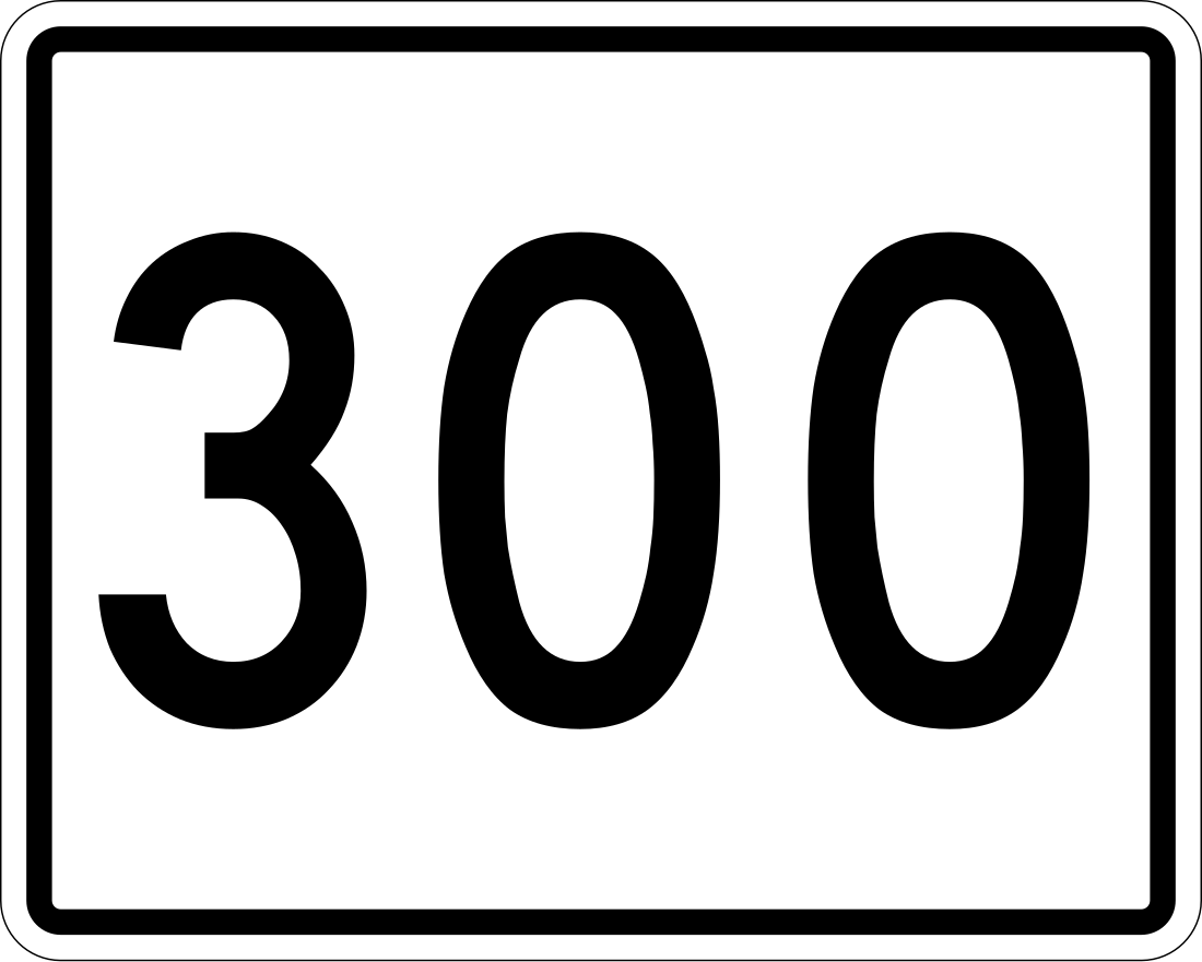 300 (عدد)