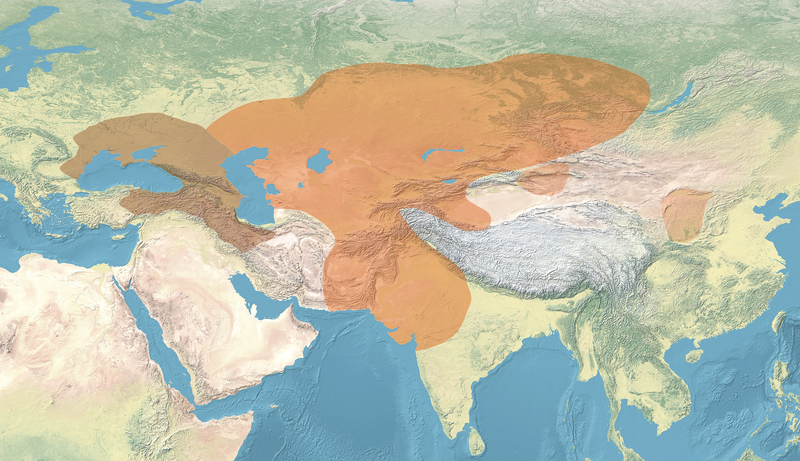 File:Map of the Saka and Scythian realms.png