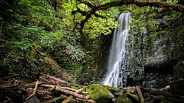 Datei:Matai_Falls_NZ_15.jpg