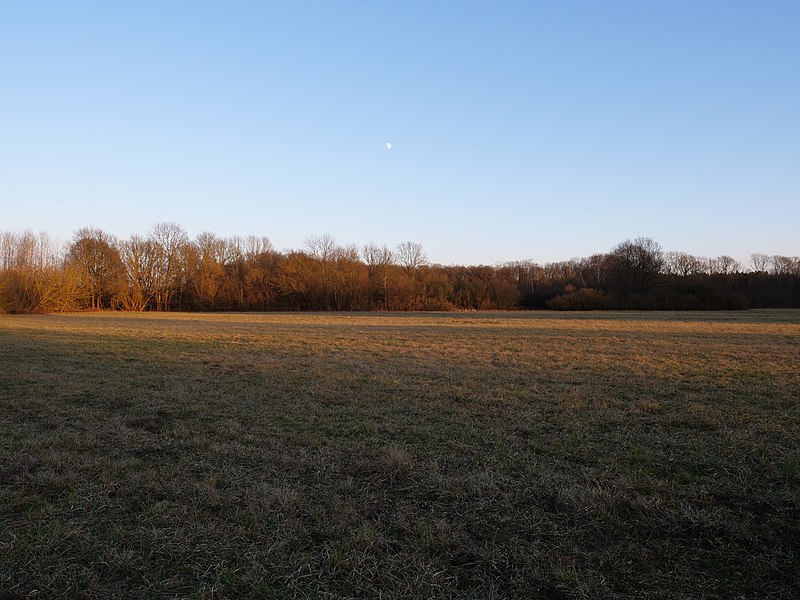 File:Meadow in north of the Eiskeller in winter.jpg