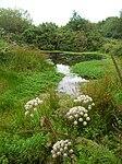 Meddon Green Local Nature Reserve