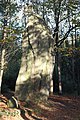 Le grand menhir de Lespurit-Ellen.