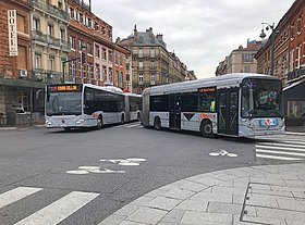 Illustratieve afbeelding van het artikel Linéo de Toulouse