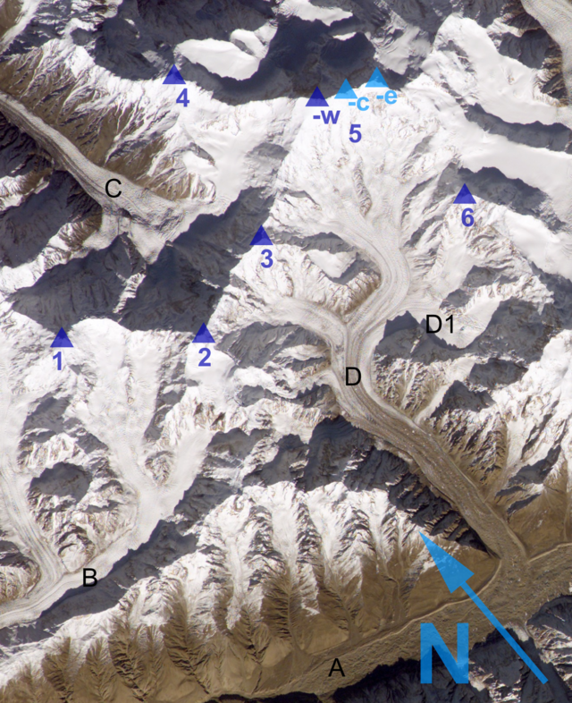 Satellitenbild des Hispar Muztagh: Momhilgletscher (C)