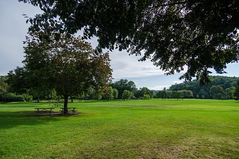 File:Morningside Park (37571327792).jpg