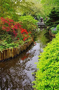 NL-keukenhof-05.jpg