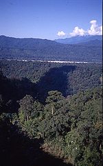 Miniatura para Parque nacional de Namdapha