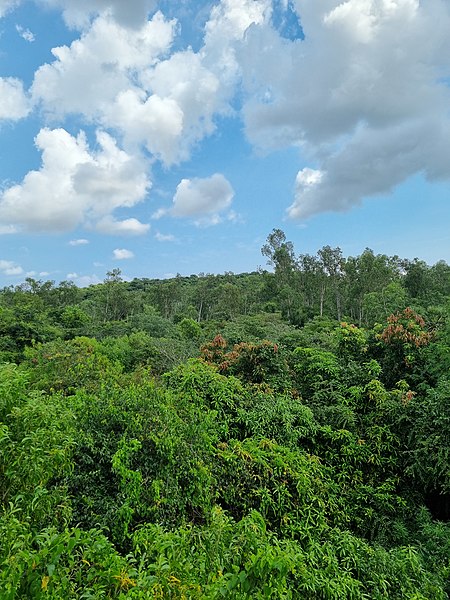 File:Nanmangalam Reserve forest.jpg