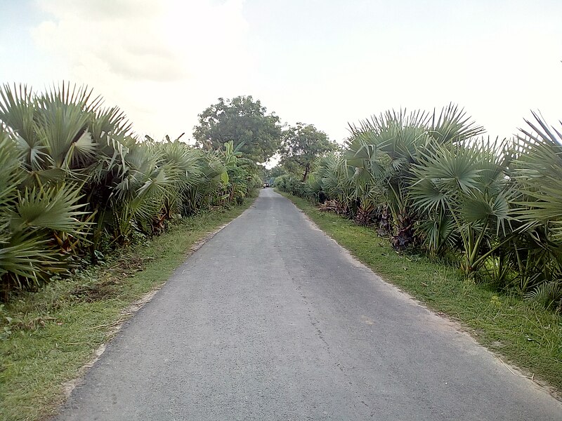 File:Natural Scenery of Baigacha.jpg