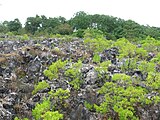 Nauru