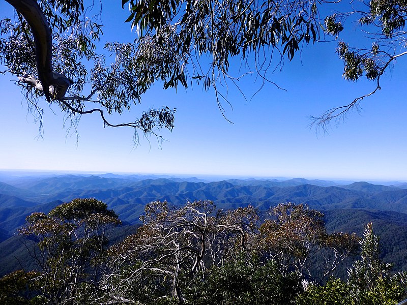 File:New England National Park NSW AUSTRALIA.jpg