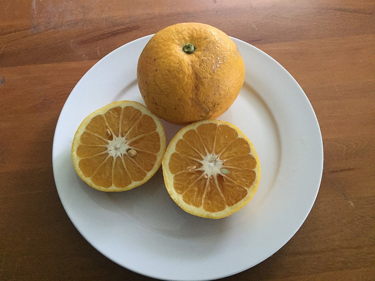 New Zealand grapefruit - Wikipedia