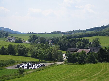 Nichtinghausen, Juni 2010 (4749861617)