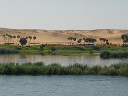 Photographie des berges herbeuses du Nil.