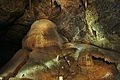 Stalagmity v Nové Amatérské jeskyni