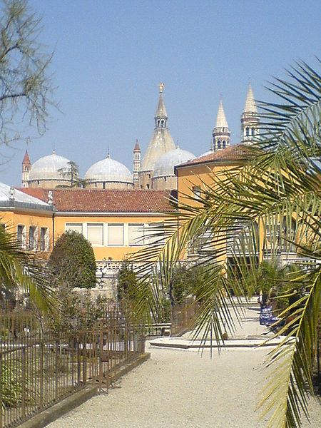 Orto botanico padova