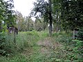 English: Evangelical cemetery in Orzysz Polski: Cmentarz ewangelicki, ul. 1 Maja, z przełomu XIX/XX wieku