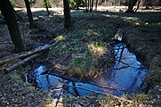 Čeština: Přírodní rezervace Ploník, okres Blansko