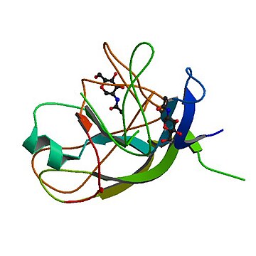 Choriogonadotropin