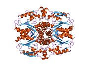1ufq: Crystal structure of ligand-free human uridine-cytidine kinase 2