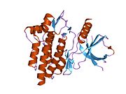 PDB 1xba EBI.jpg