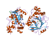 PDB 2oq6 EBI.png