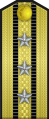 中国人民解放军海军1955式军衔海军上校上校