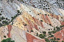 Park City Formation (Permian; Split Mountain, Dinozavr milliy yodgorligi, Yuta, AQSh) 6 (48810787362) .jpg