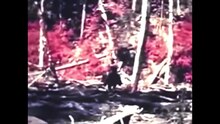 Cowboy behind legendary Patterson-Gimlin Bigfoot film marks 50th