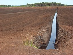 Torfabbau, Solway Moss, Kirkandrews - geograph.org.uk - 1325299.jpg