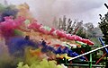 Pedro Meier Rauch Performance »Apocalypse Now« 2017, Color Smoke Bombs Installation, Ausstellung Skulpturenpark Stiftung Franz Eggenschwiler Switzerland, Nr. 07, Photo © Pedro Meier Multimedia Artist.jpg