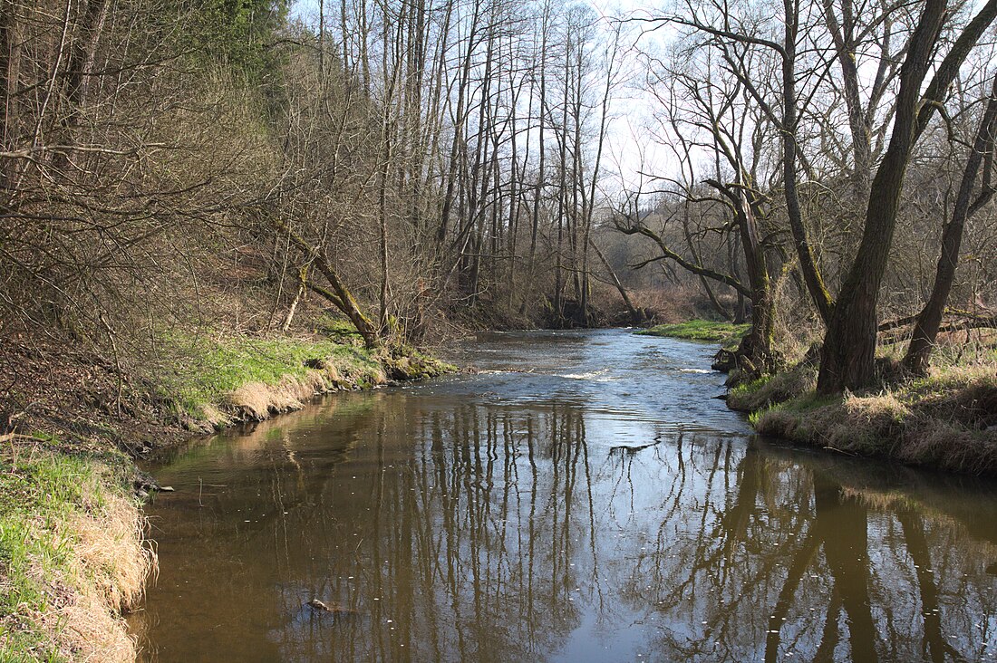 Moravská Dyje (přírodní památka)