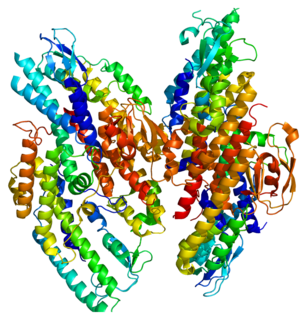 <span class="mw-page-title-main">GINS1</span> Protein-coding gene in the species Homo sapiens