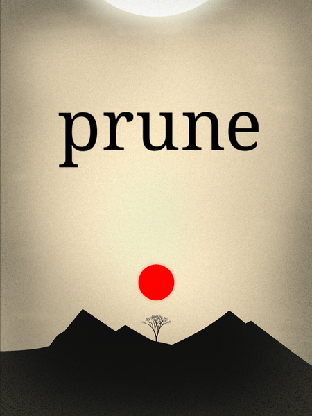 File:Prune video game cover.png