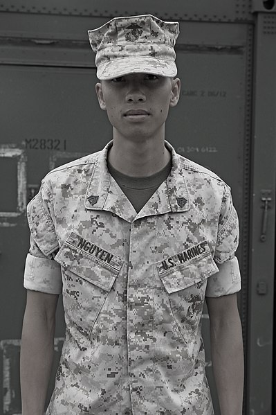 File:Q& A; with Sgt. Thanhtam Nguyen 140702-M-AL626-752.jpg